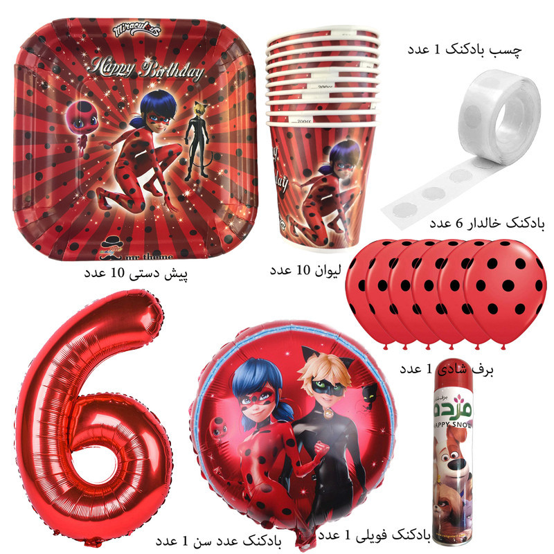 ست ابزار مهمانی مستر تم کد 6 30 عددی
