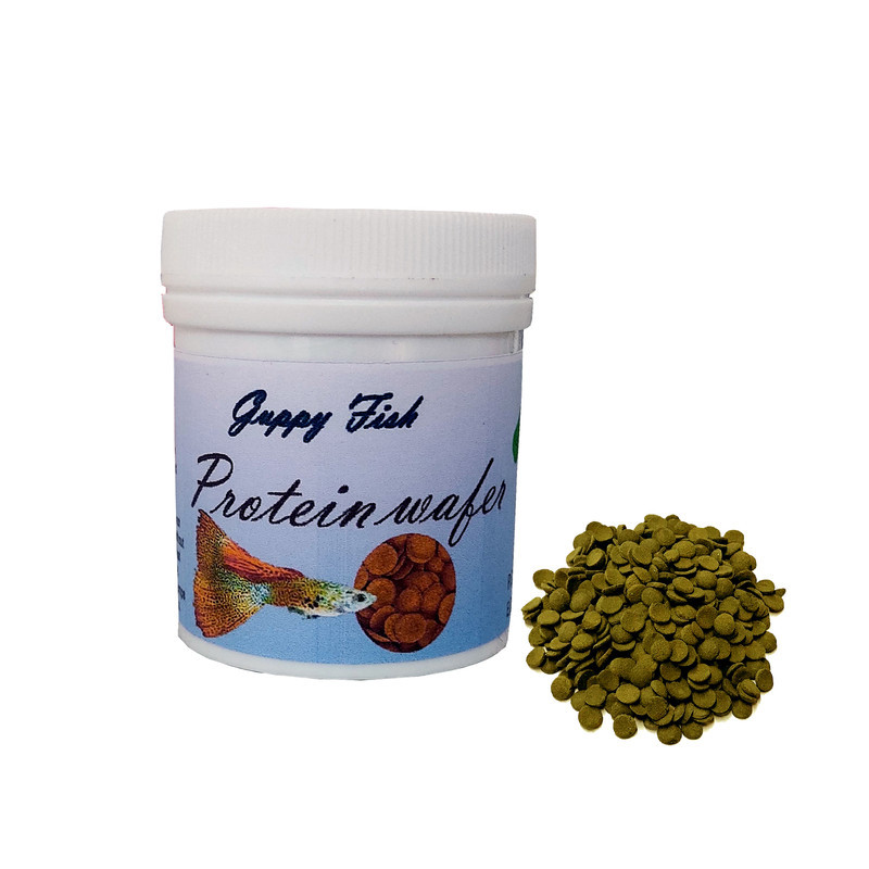 غذای ماهی گوپی مدل protein وزن 50 گرم
