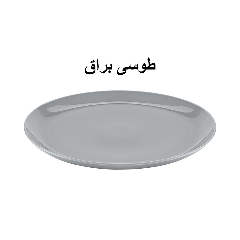 دیس سرو طرح آتوسا کد GK748403