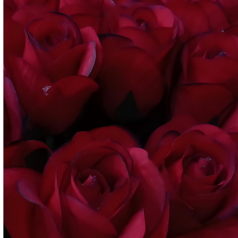گل مصنوعی مدل رز لب مشکی مجموعه 8 عددی