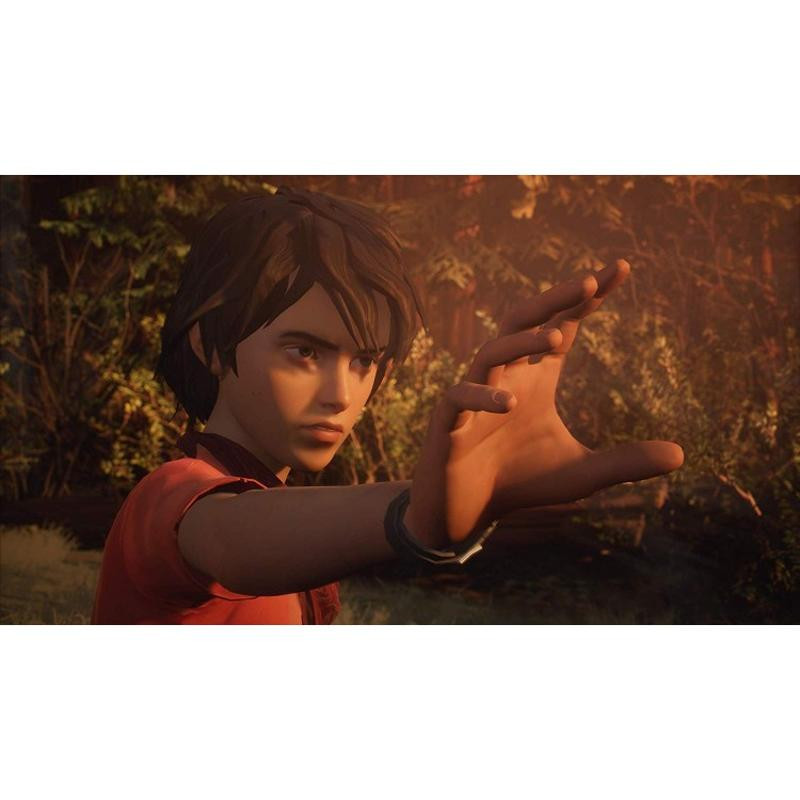 بازی Life is Strange 2 نسخه دیسک بلوری مخصوص PS4