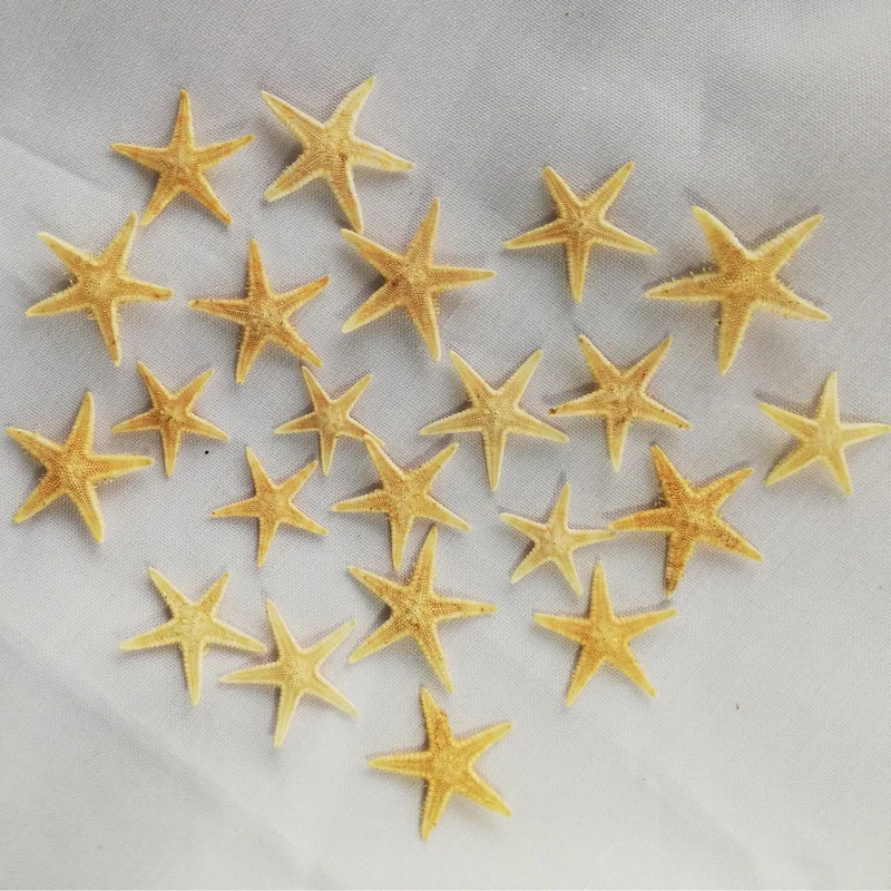 ستاره دریایی تزیینی مدل star01 مجموعه 10 عددی