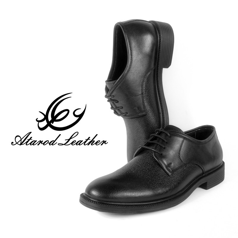 کفش مردانه چرم عطارد مدل چرم طبیعی کد SH194