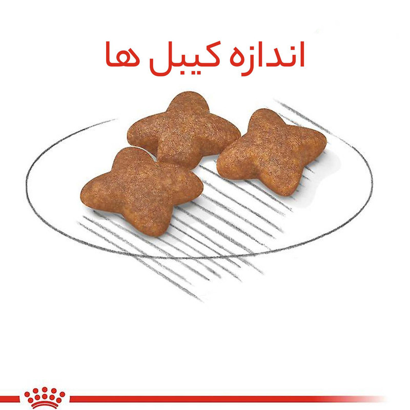 غذای خشک سگ نژاد کوچک رویال کنین مدل Mini Adult وزن 2 کیلوگرم