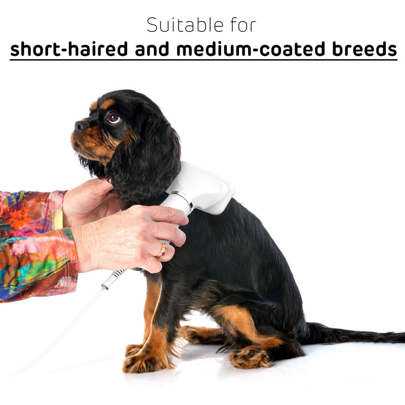 سشوار و برس برقی حیوانات خانگی مدل PET.GROOMING.DRYER