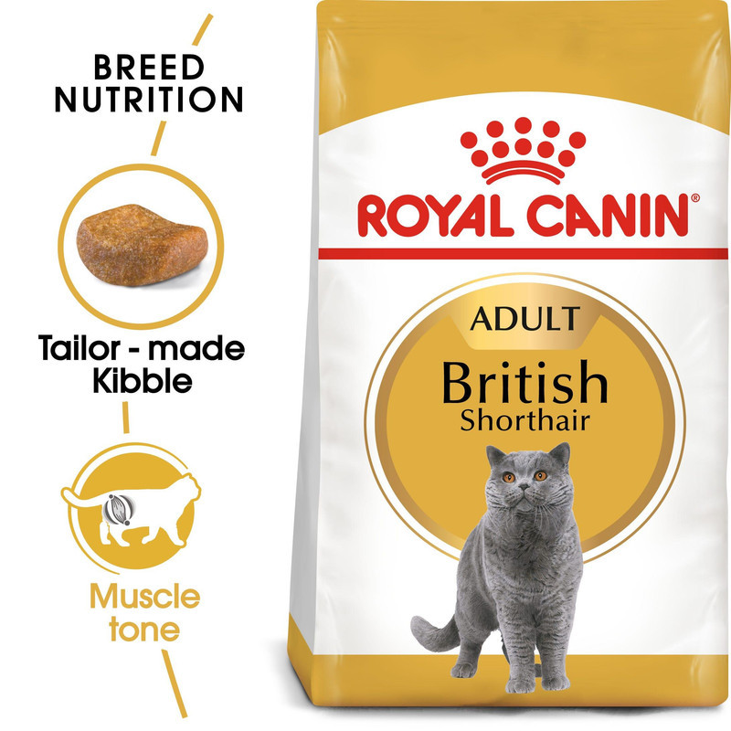 غذای خشک گربه بریتیش رویال کنین مدل British Shorthair وزن 10 کیلوگرم