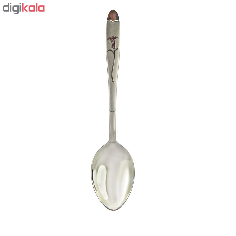 قاشق اجیل خوری نیوهوم کد 0860