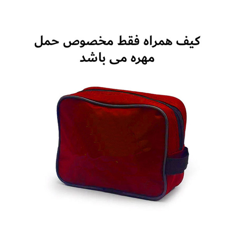 شطرنج مدل فدراسیونی