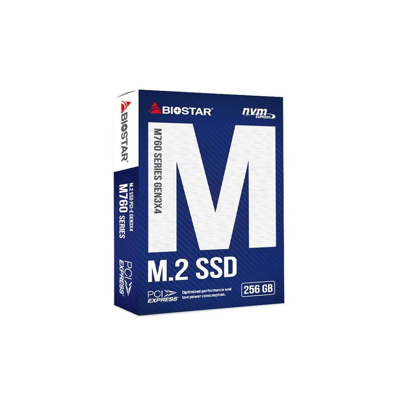 اس اس دی اینترنال بایوستار مدل M760-256GB ظرفیت 256 گیگابایت