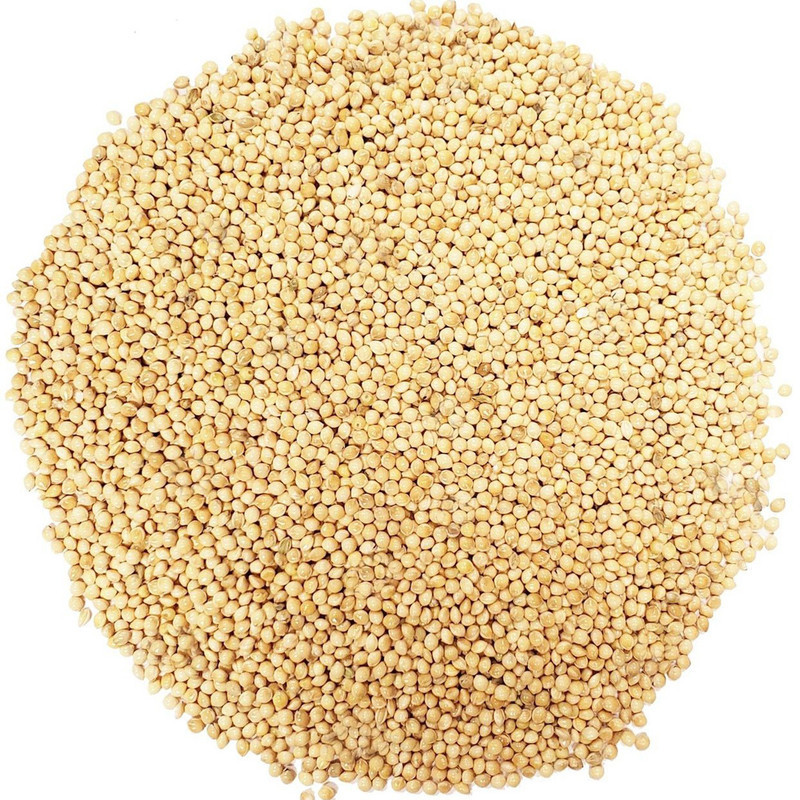 ارزن مخصوص طوطی سانان چیگو کد A1 وزن 1 کیلوگرم