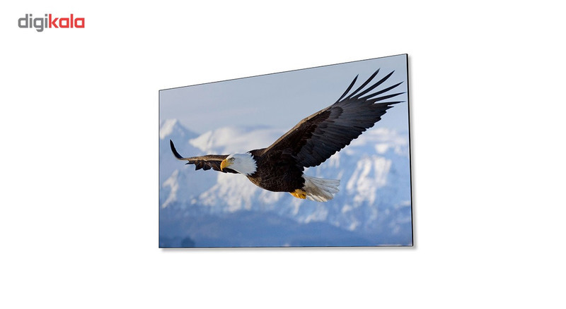 تابلو شاسی ونسونی طرح Flying Eagle سایز 30x40 سانتی متر
