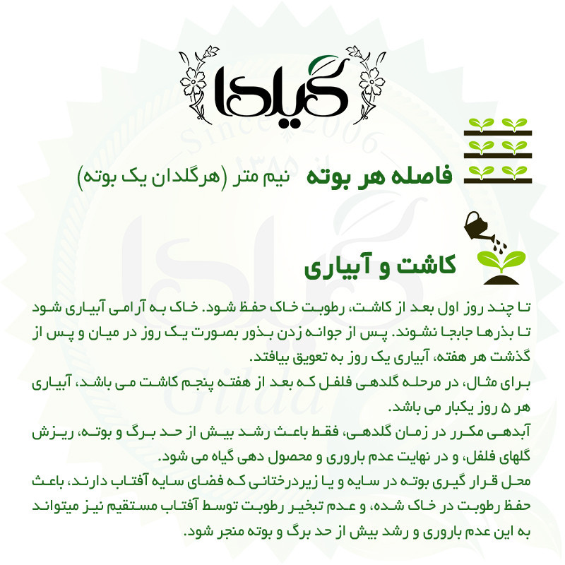 بذر فلفل تند چیلی گیلدا کد 352