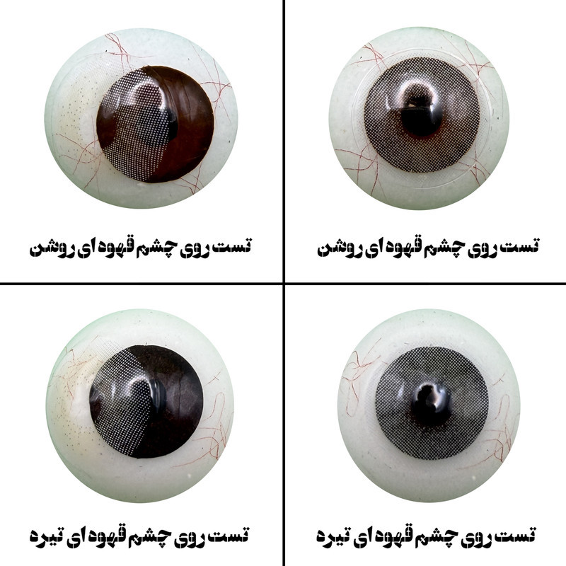 لنز چشم رویال ویژن مدل VEGAS PEARL کد07  رنگ طوسی روشن بدون دور