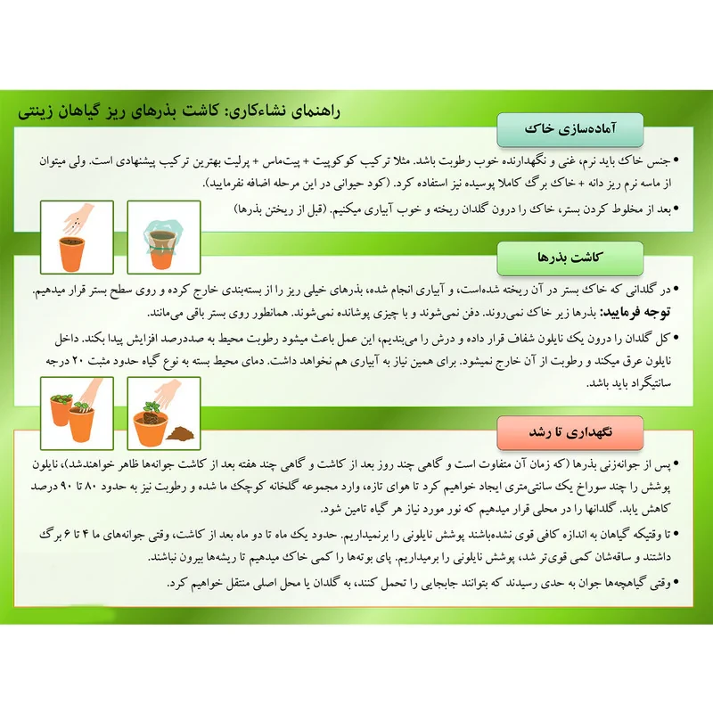 بذر گوجه قرمز گیلاسی پاکوتاه گلدانی پالم کد 15