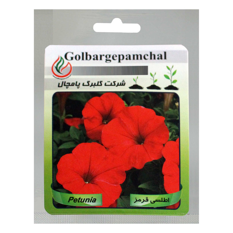 بذر گل اطلسی قرمز گلبرگ پامچال کد GPF-022