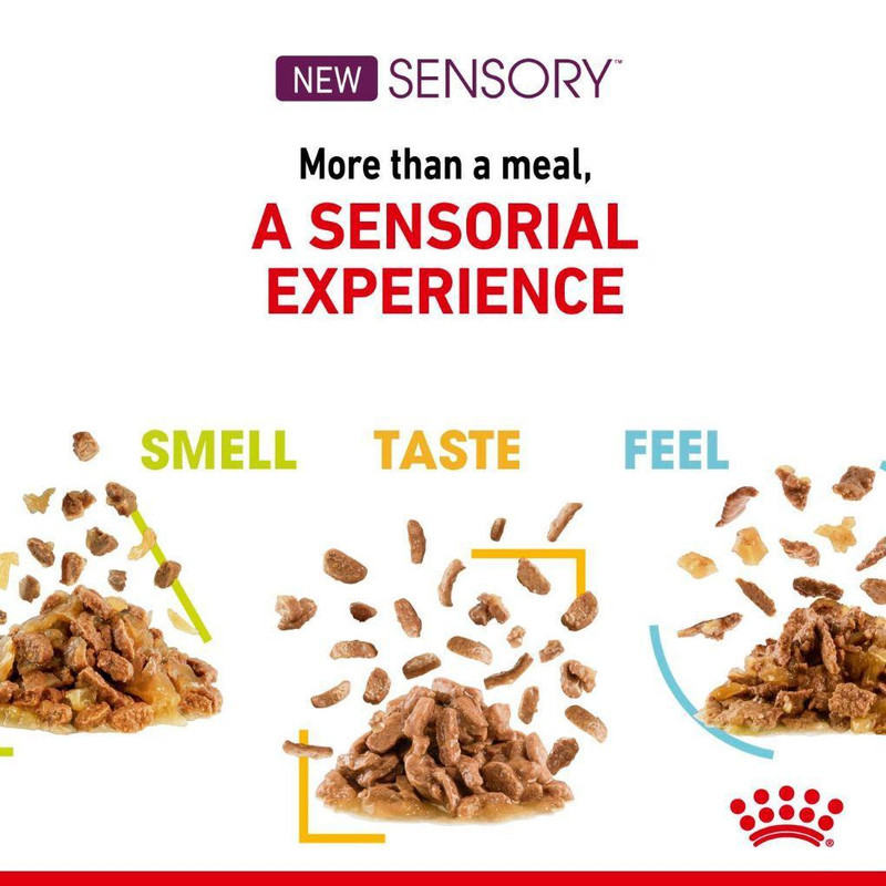پوچ گربه رویال کنین مدل Sensory taste مناسب گربه حساس به طعم غذا وزن 85 گرم