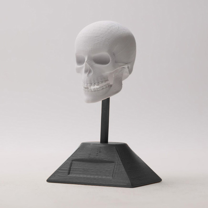 مجسمه طرح جمجمه مدل skull13s