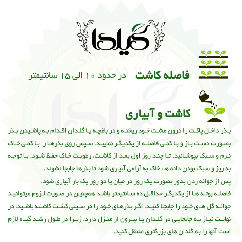بذر تاج خروس چتری گیلدا کد 801