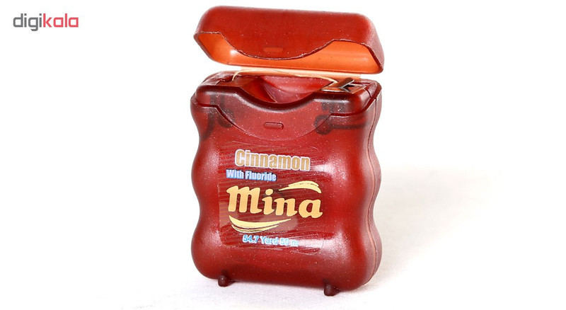 نخ دندان مینا مدل Cinnamon مجموعه 2 عددی