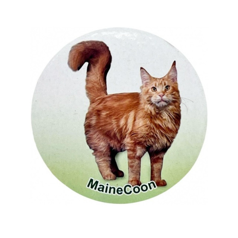فیگور مدل گربه مین طرح Maine Coon کد CA954-8 ارتفاع 7 سانتی‌متر