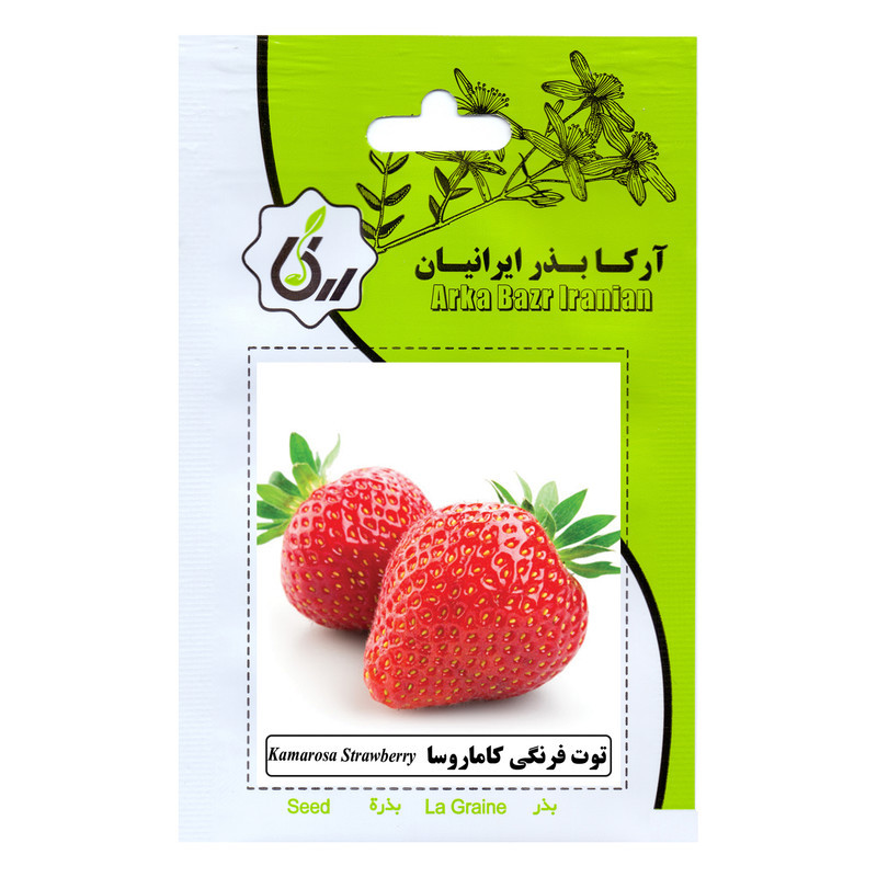 بذر میوه های لوکس و استوایی آرکا بذر ایرانیان کد ARK-A-ARK-012 وزن 100 گرم مجموعه 12 عددی