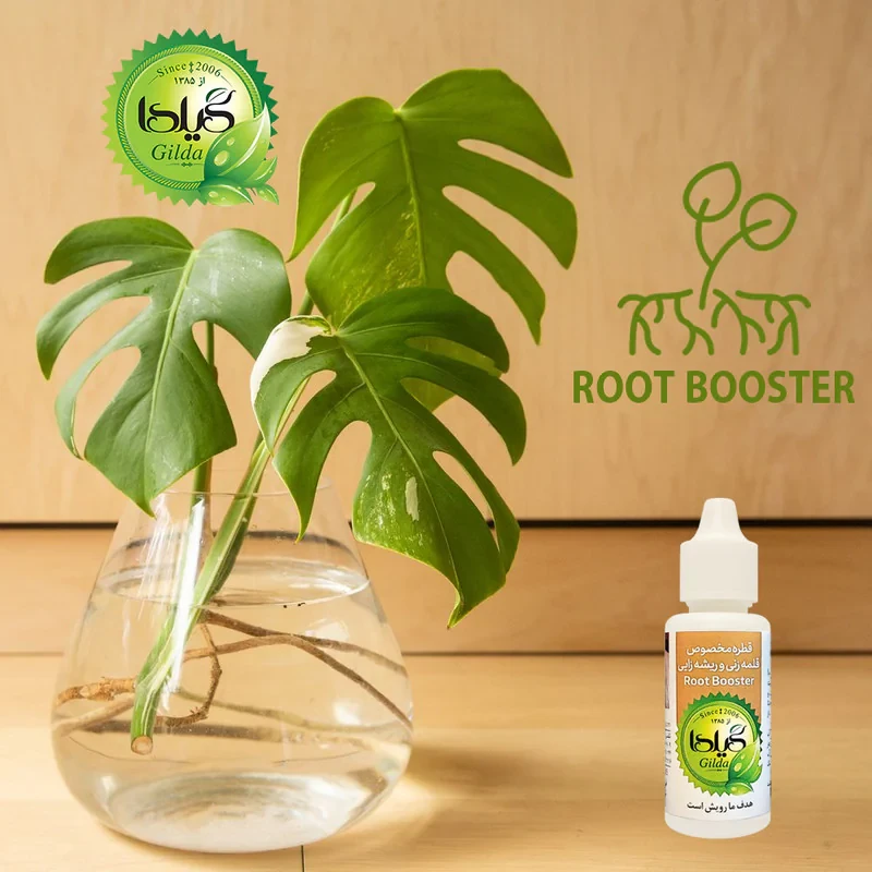 کود مایع قلمه زنی و ریشه زایی گیلدا مدل Root Booster حجم 30 میلی لیتر