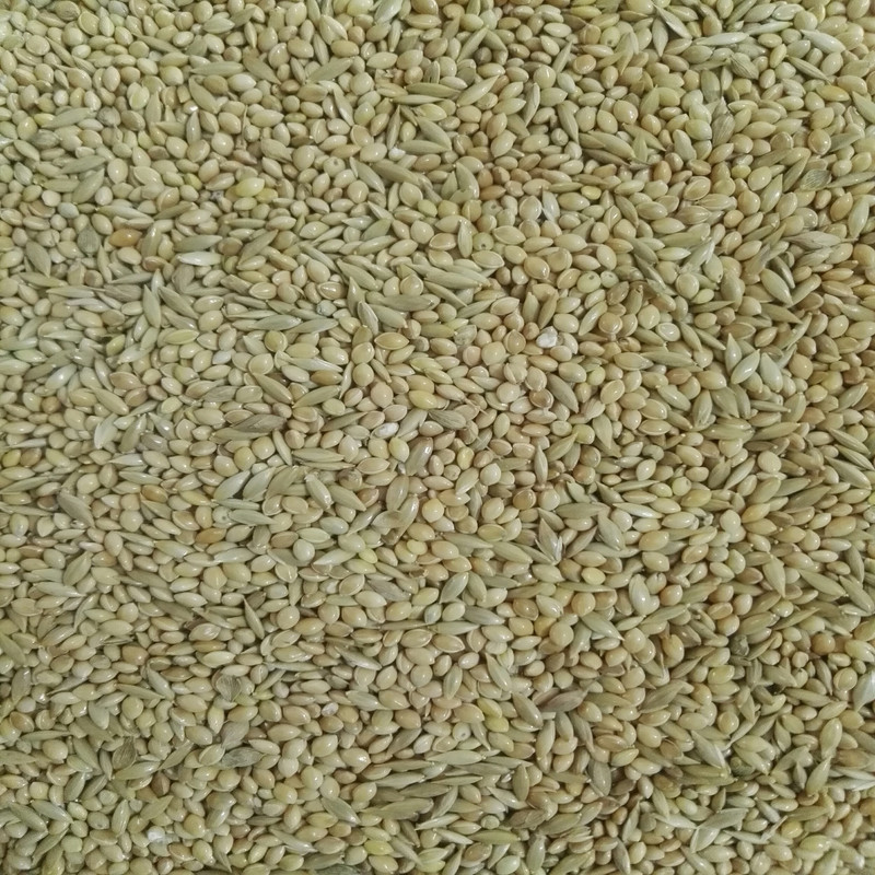 غذای خشک پرندگان کد GH-KH0001 وزن 1 کیلوگرم