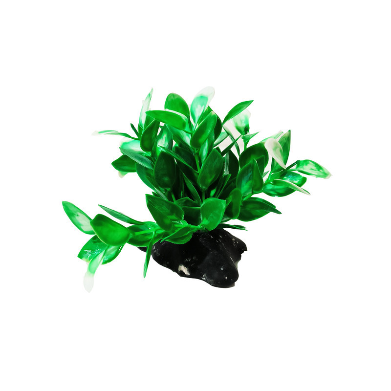 گیاه تزیینی آکواریوم کد VB07 مجموعه 5 عددی