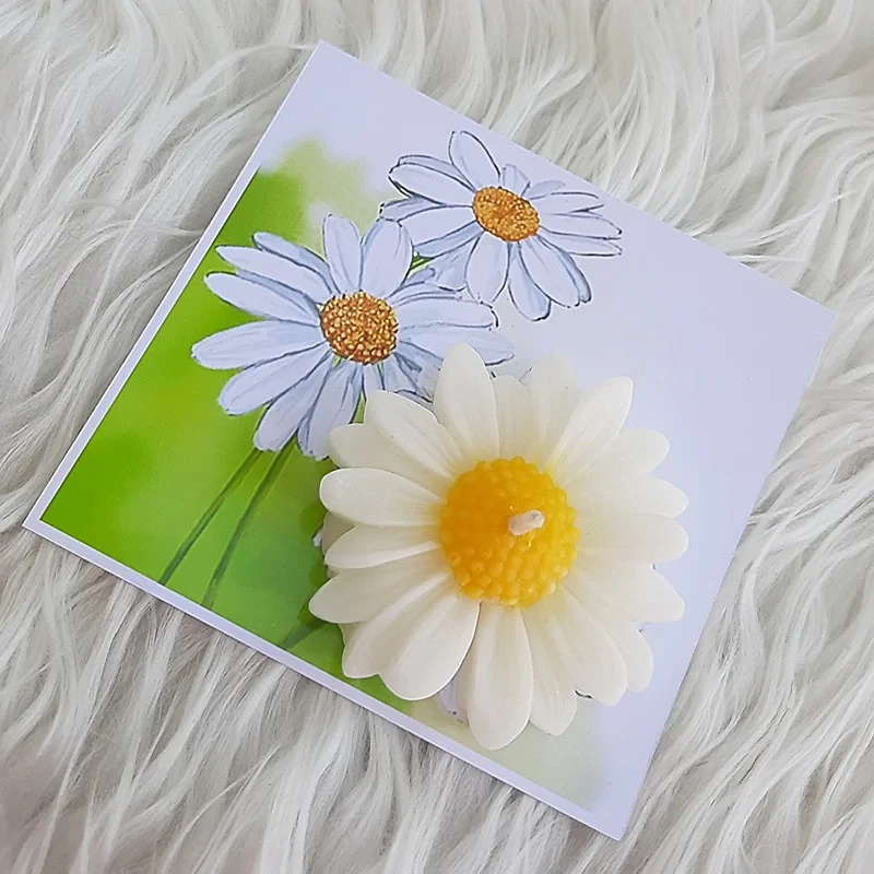 گیفت طرح شمع مدل گل بابونه مجموعه 10 عددی