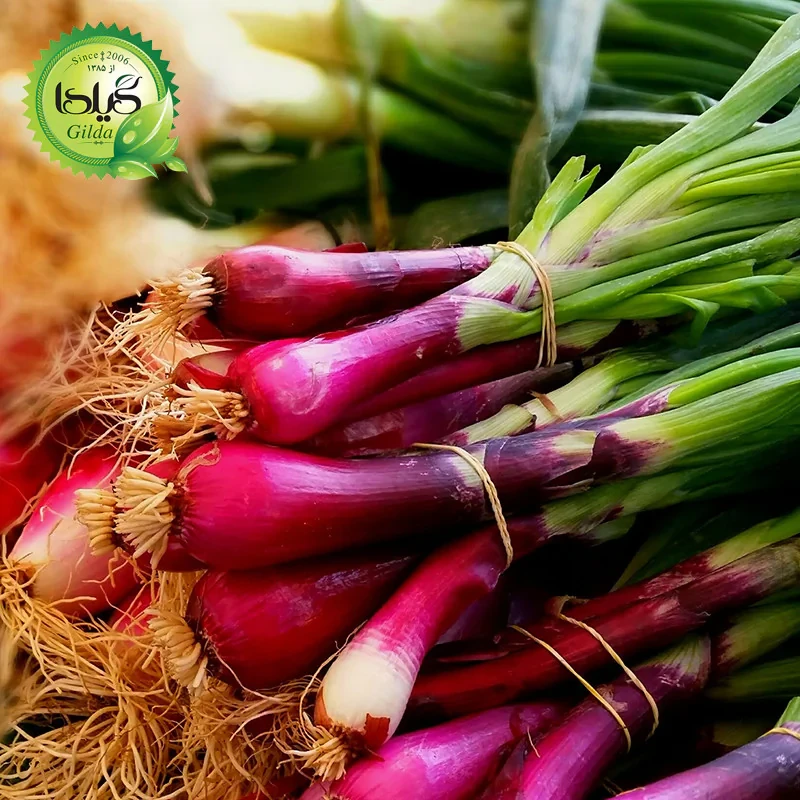 بذر سبزی خوردن گیلدا کد 097 مجموعه 10 عددی