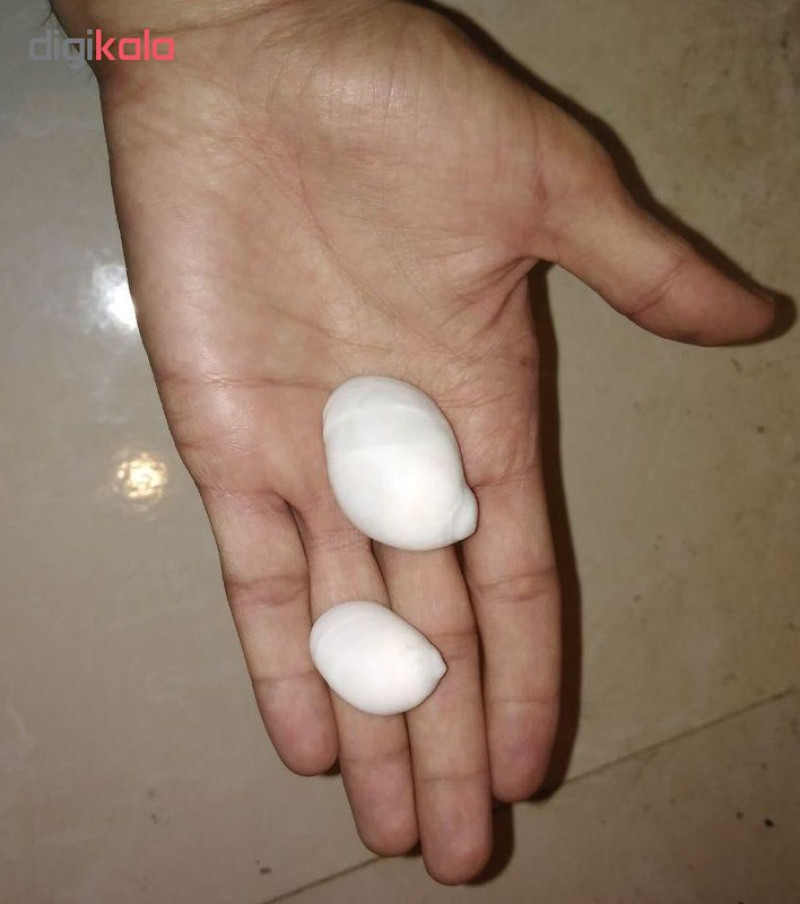 صدف تزئینی مدل a06 مجموعه 9 عددی