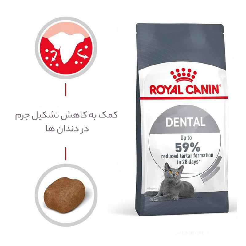 غذای خشک گربه رویال کنین مدل Dental سلامت دهان و دندان وزن 1.5 کیلوگرم