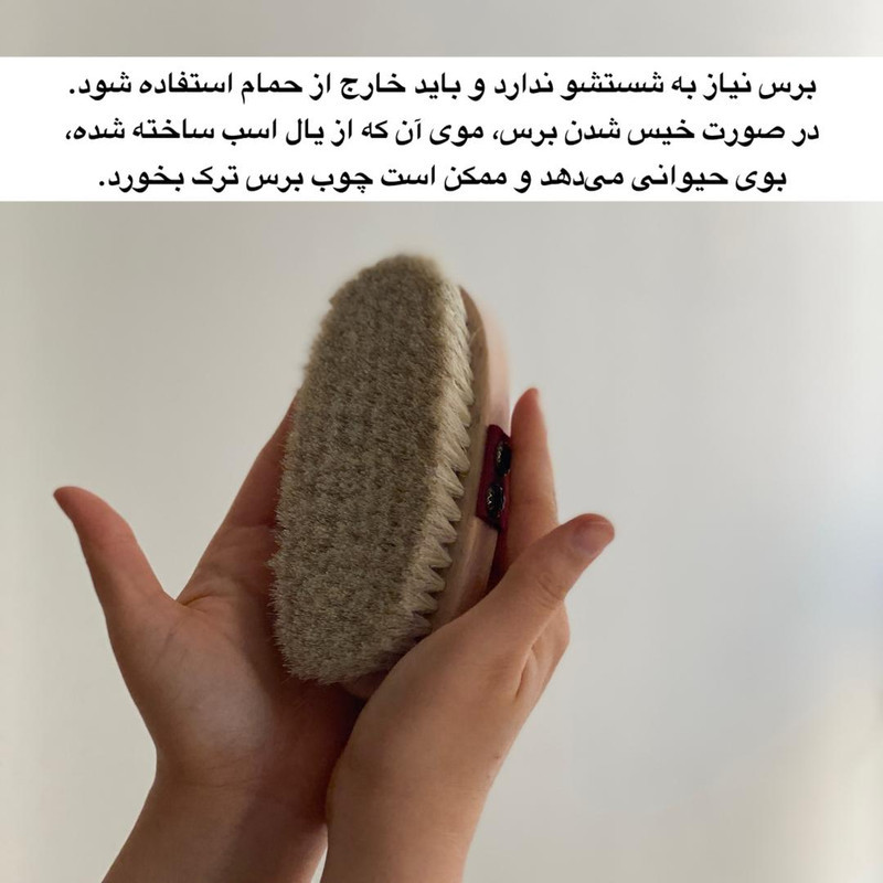 برس شستشوی بدن مگ مدل موی اسب