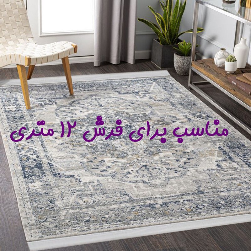 محافظ ریشه فرش راسپینا مدل 12 متری مجموعه دو عددی