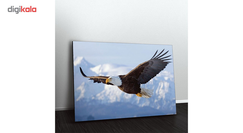 تابلو شاسی ونسونی طرح Flying Eagle سایز 30x40 سانتی متر