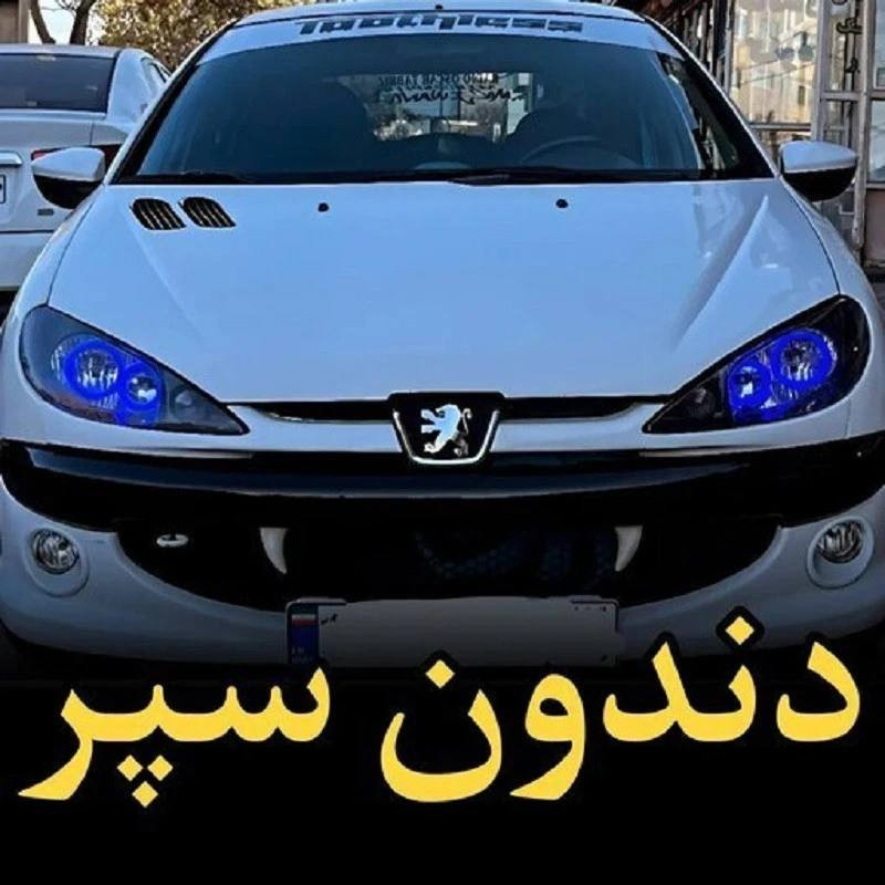 شاخ تزئینی سپر و داشبورد مدل دندانی مجموعه 2 عددی