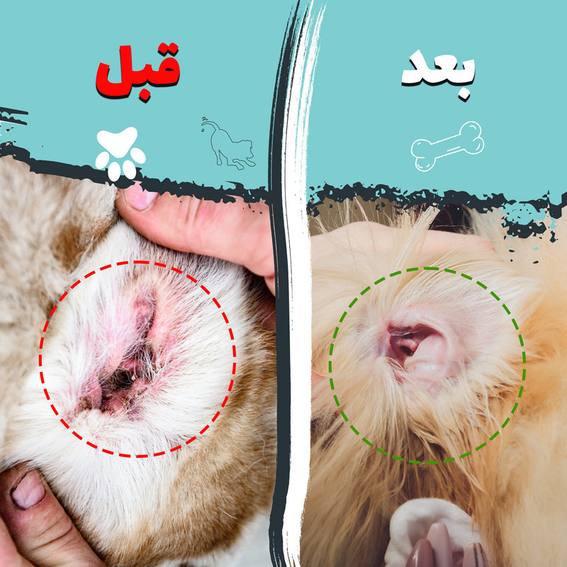 دستمال مرطوب گوش سگ و گربه کوالاپت مدل Ear wipes01 بسته 80 عددی