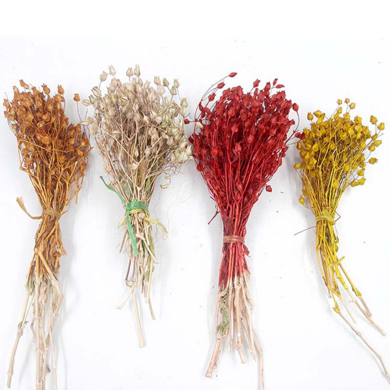 گل خشک مدل جغجغه بوته ای کد 15