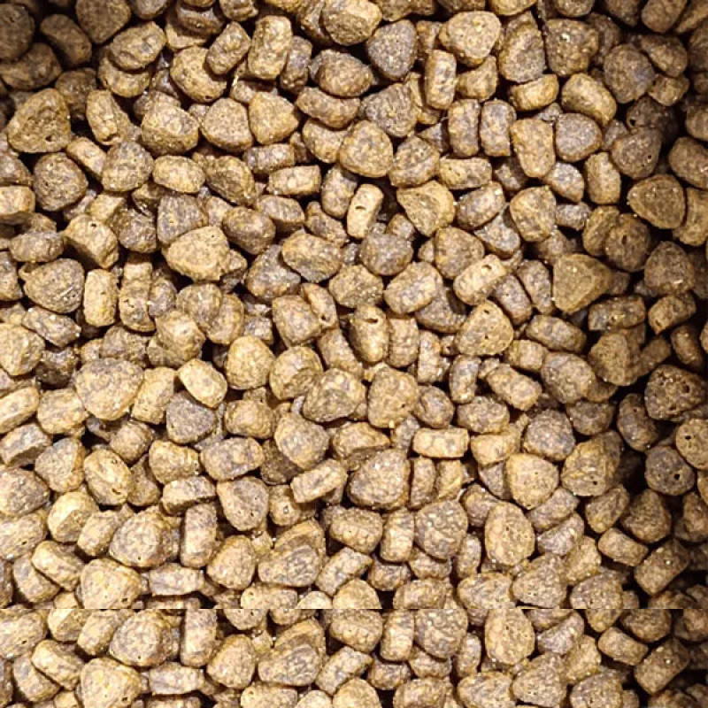 غذا خشک گربه بالغ تیستی مدل عقیم فله طعم مرغ و ماهی وزن 1500 گرم