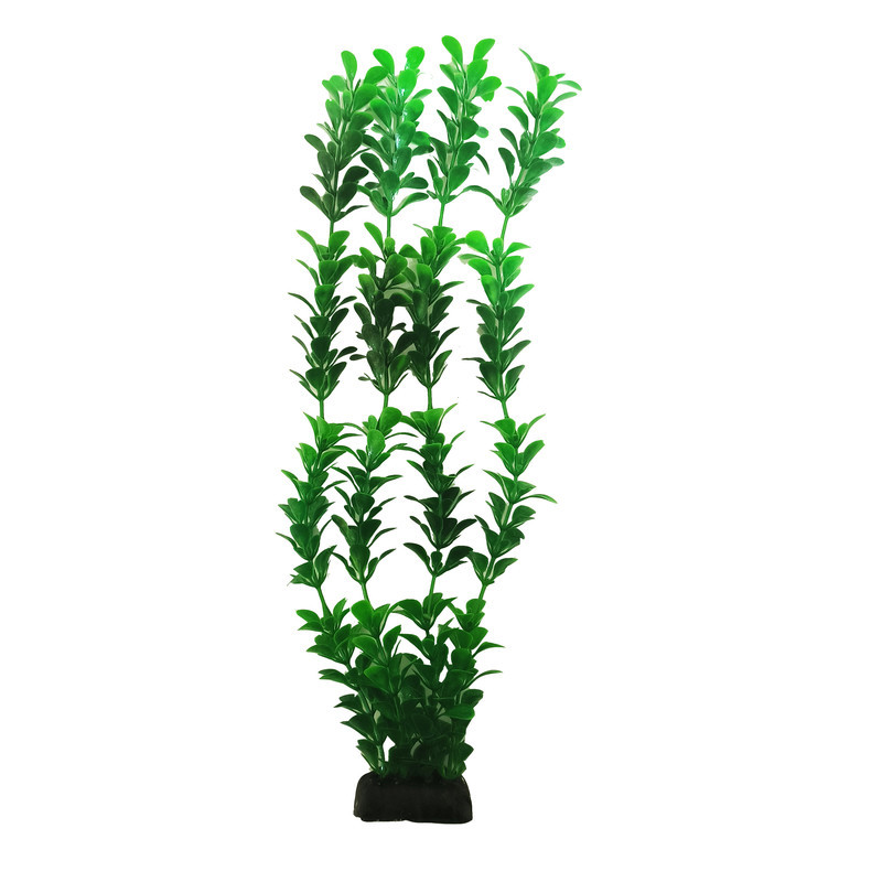 گیاه تزیینی آکواریوم کد sum10 مجموعه 10 عددی
