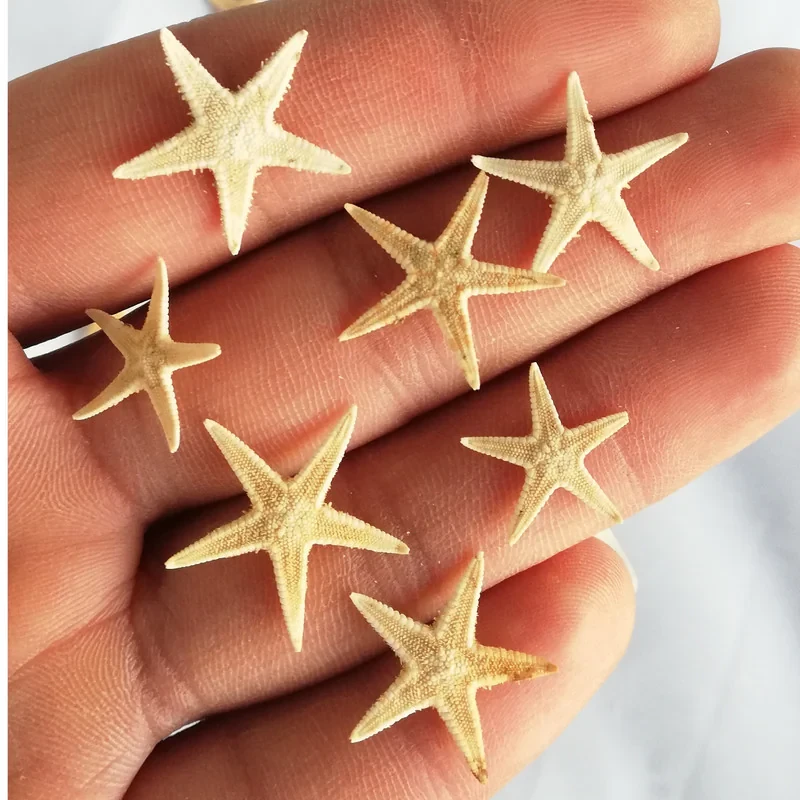 ستاره دریایی تزیینی مدل star01 مجموعه 10 عددی