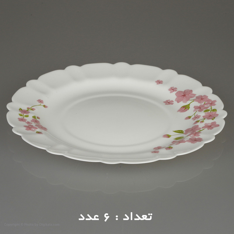 سرویس 25 پارچه اپال طرح دایره مدل اما کنگره