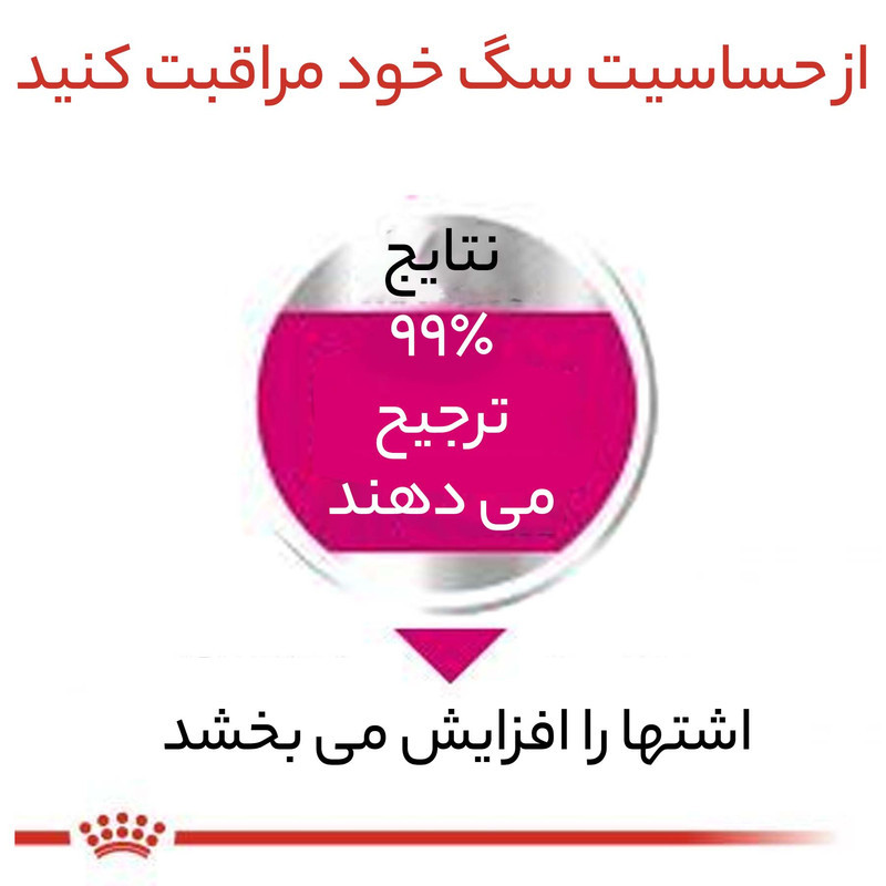 غذای خشک سگ نژاد کوچک رویال کنین مدل Mini Exigent بد غذا وزن 3 کیلوگرم