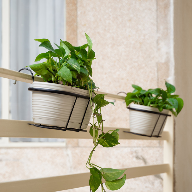 اویز گلدان مدل نرده ای بیضی