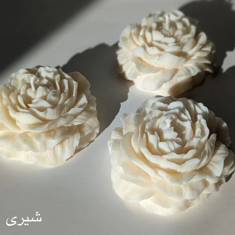 شمع مدل گل الاله بسته 50 عددی