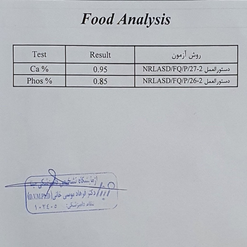 سرلاک پرندگان و طوطی سانان توئیتی کد SRK500 وزن 500 گرم