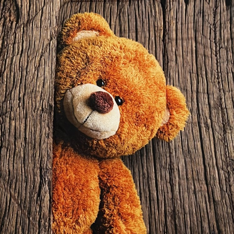سرویس روتختی کوکوجم مدل خرسی یک نفره 4 تکه