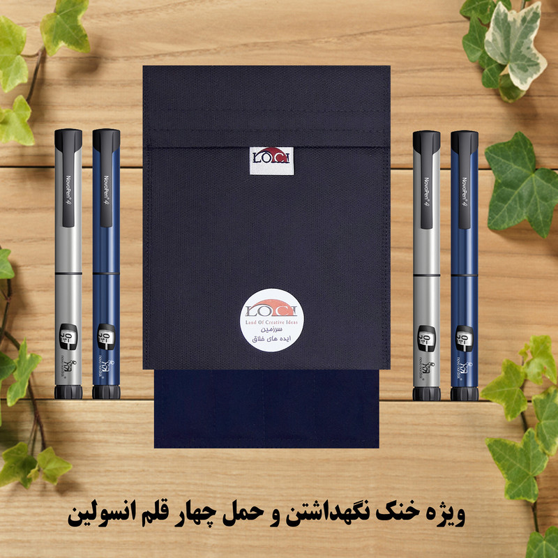 کیف خنک نگهدارنده انسولین لوک آی مدل 4 قلم کد 00 مجموعه 2 عددی