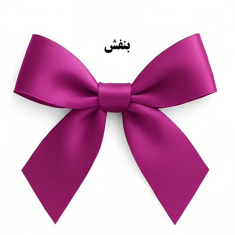 ابزار کادویی مدل پاپیون کد 4sant