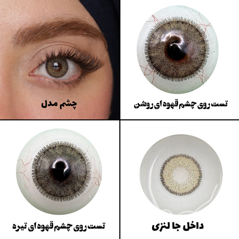 لنز چشم رویال ویژن مدل LA HAZEL کد 12 رنگ سبزعسلی طبیعی دوردار